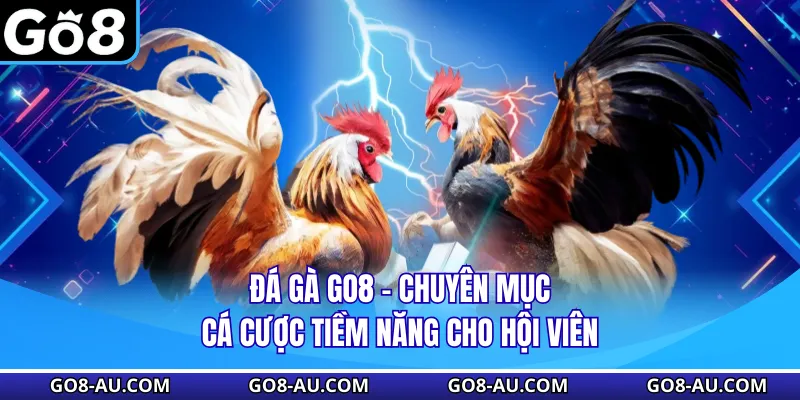 Đá Gà GO8 - Chuyên Mục Cá Cược Tiềm Năng Cho Hội Viên